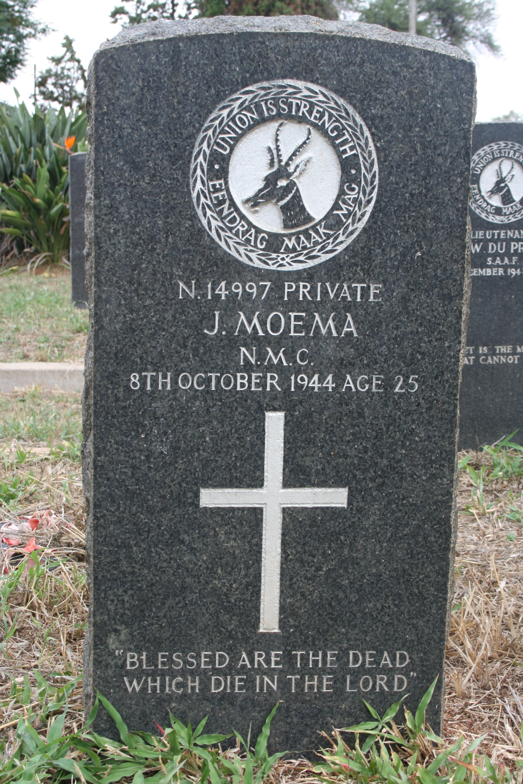 Photo of MOEMA